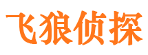 佳县市侦探调查公司